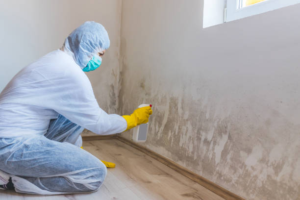 Hvac And Air Duct Mold Remediation inspection of HVAC system in Dorchester Center
